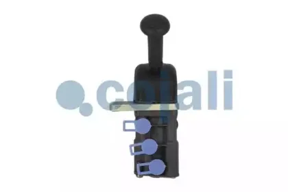 cojali-2224418