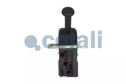 cojali-2224418