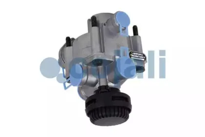 cojali-2226623