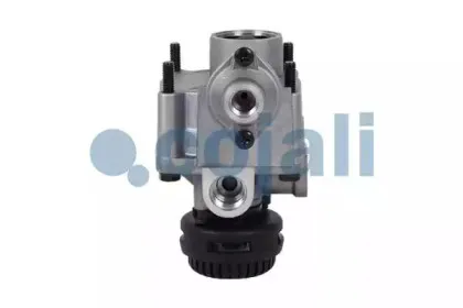 cojali-2226625