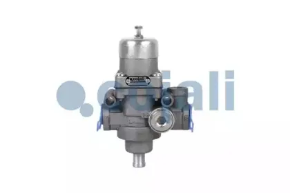 cojali-2228101