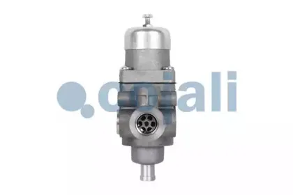 cojali-2228101