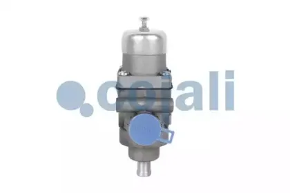 cojali-2228101