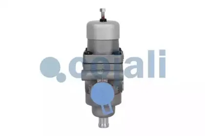 cojali-2228137