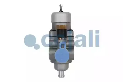 cojali-2228137