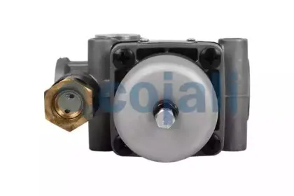 cojali-2228137