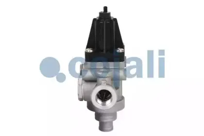 cojali-2228201