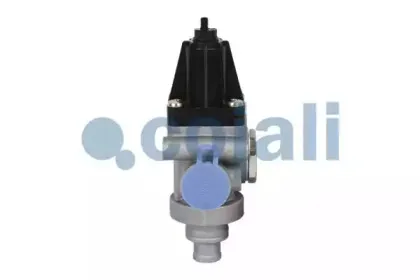 cojali-2228203