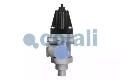 cojali-2228208