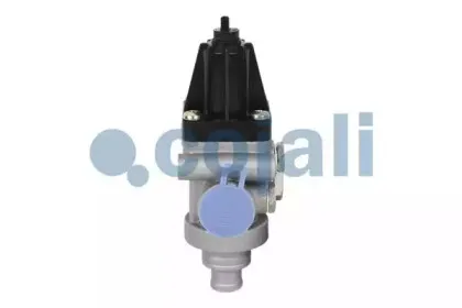 cojali-2228208
