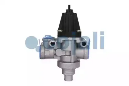 cojali-2228212