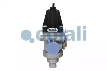 cojali-2228212