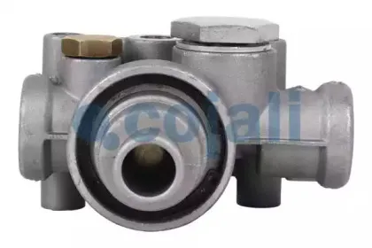 cojali-2228212