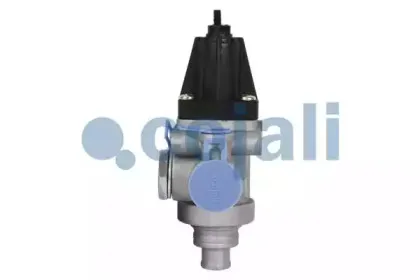cojali-2228213