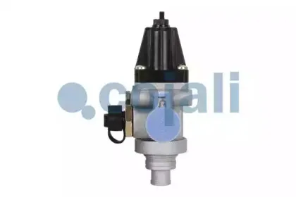 cojali-2228229