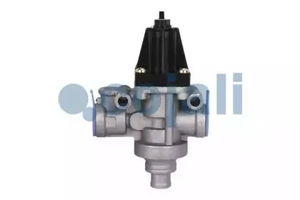 cojali-2228229