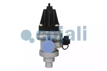 cojali-2228229