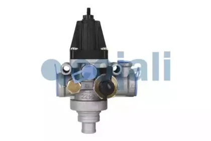cojali-2228253
