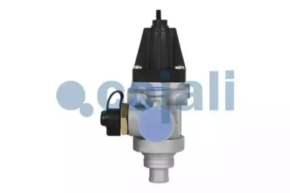 cojali-2228253