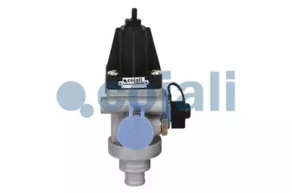 cojali-2228253