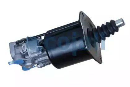 cojali-2250101