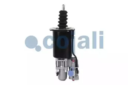 cojali-2250203