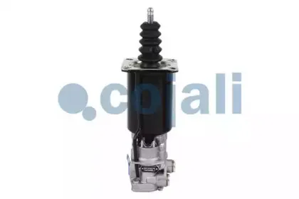 cojali-2250203