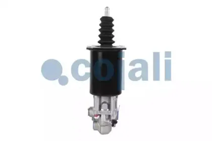 cojali-2250205