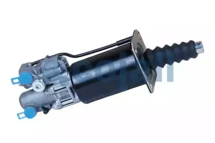 cojali-2250213