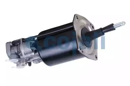 cojali-2250216