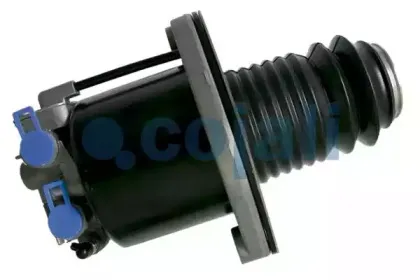 cojali-2250220