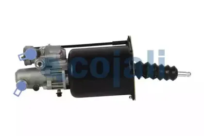 cojali-2250229