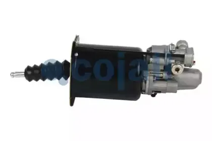 cojali-2250229