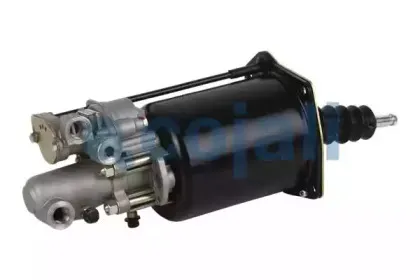 cojali-2250229