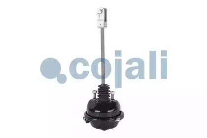 cojali-2251102