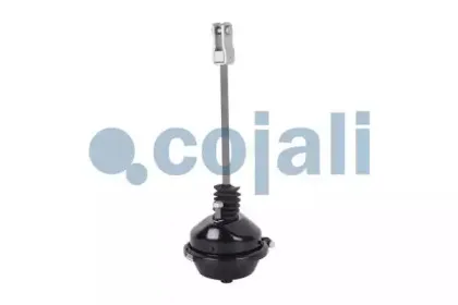 cojali-2251102