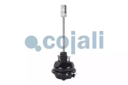 cojali-2251102