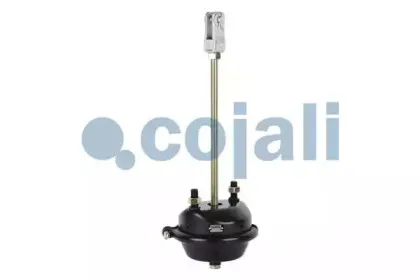 cojali-2251104