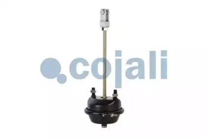 cojali-2251104
