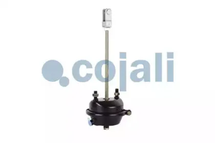 cojali-2251104