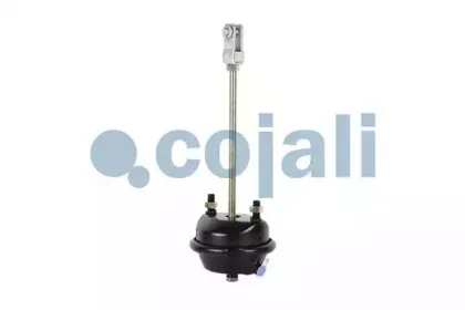 cojali-2251104