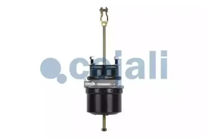 cojali-2251503