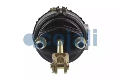 cojali-2251503