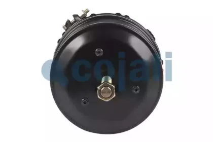 cojali-2251503