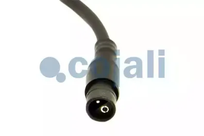 cojali-2260134