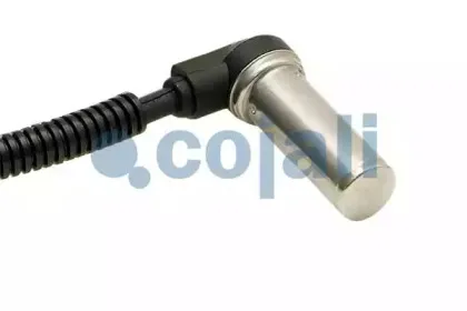 cojali-2260134
