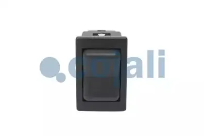 2260165 COJALI Амортизатор