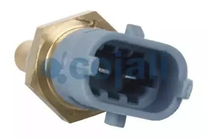 cojali-2260409