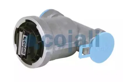 cojali-2306108