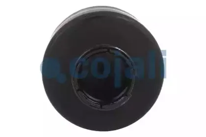 cojali-2310001